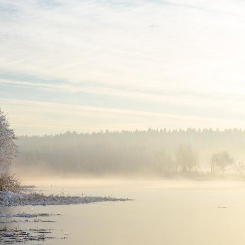 Морозный берег туманного рассветного озера
