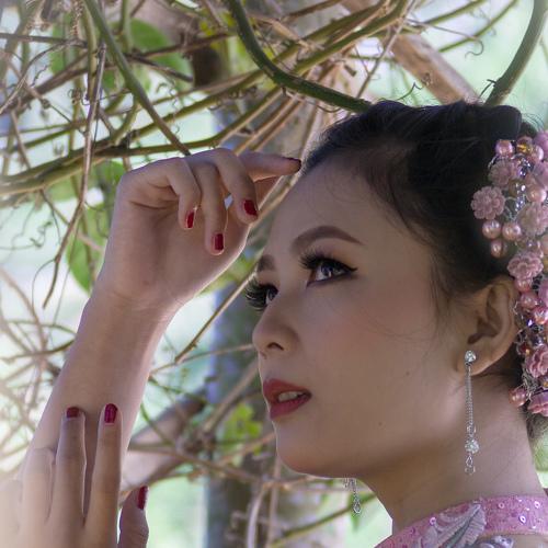 Photo #3441792