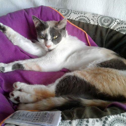 Queen Lucy