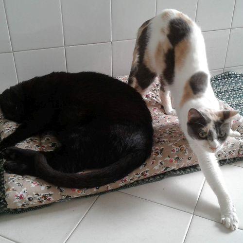 Vlad and Lucy