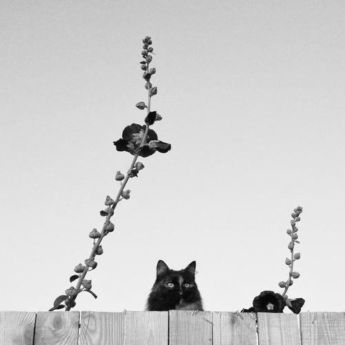 Photo #3443659