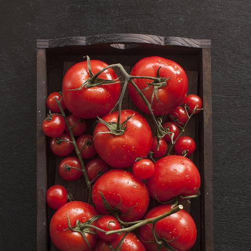 Summer harvest