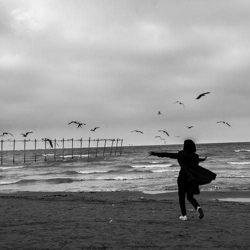 Flight