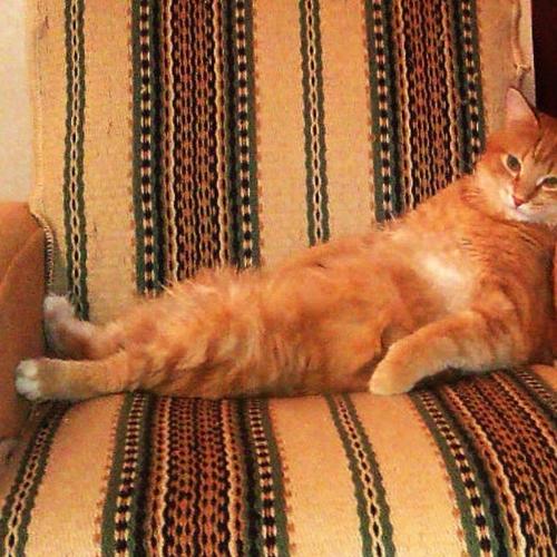 Photo #3444972