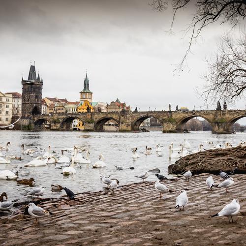 Prague