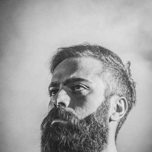 Photo #3445669