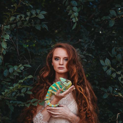 Photo #3447001