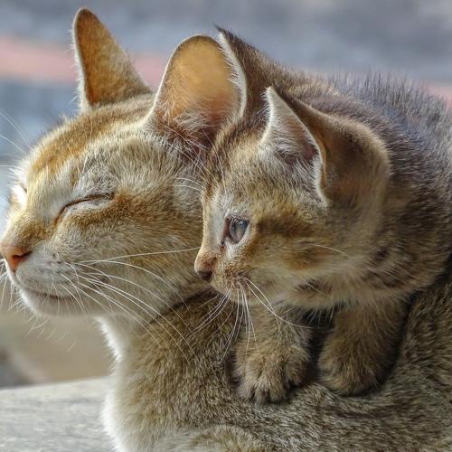 With my mama