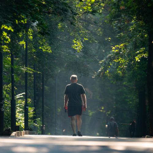 Photo #3448430