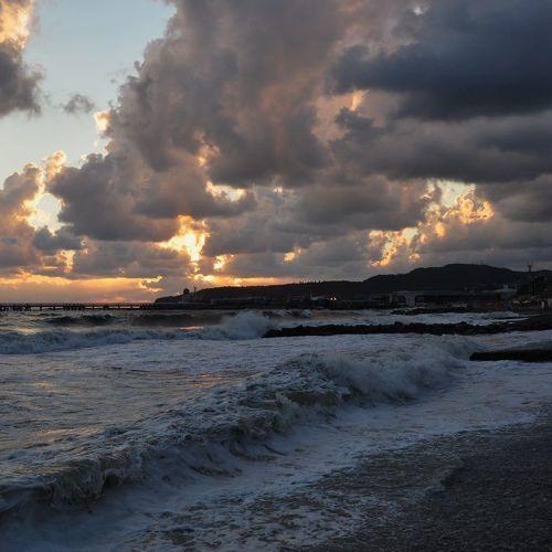 Photo #3448837