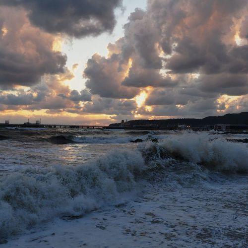 Photo #3448839