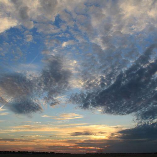 Photo #3448845