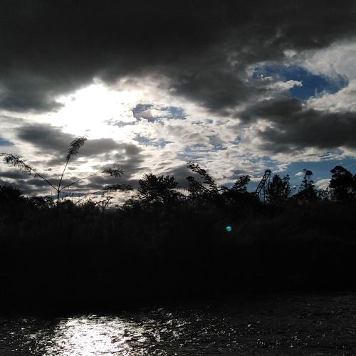 Photo #3448951