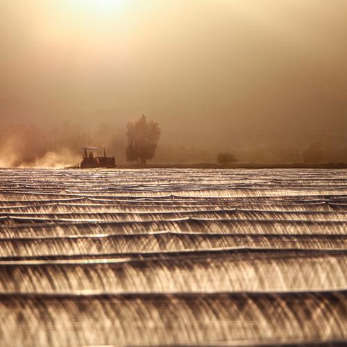 Photo #3449417