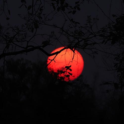 Sunset Beauty