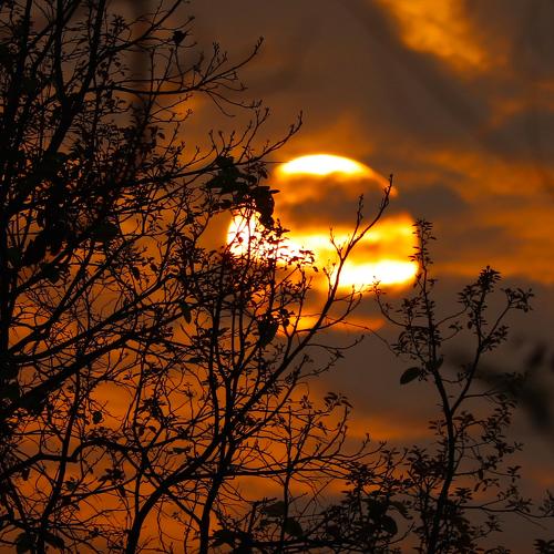 Behind The Nature Sunshine