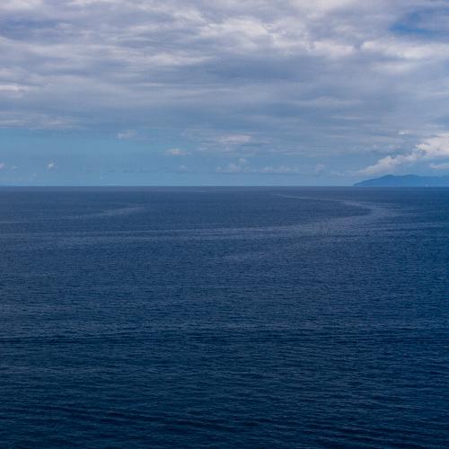 Photo #3451250