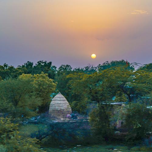 Home in nature's lapel