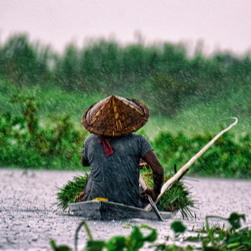 Boatman sailing on a rainy day