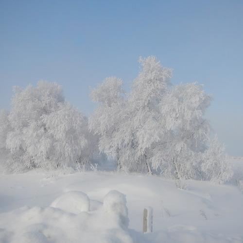 Белая сказка