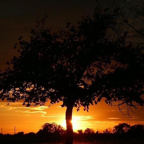 Photo #3452296