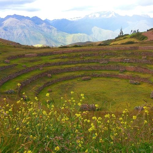 Photo #3452429