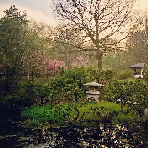 Japanese garden