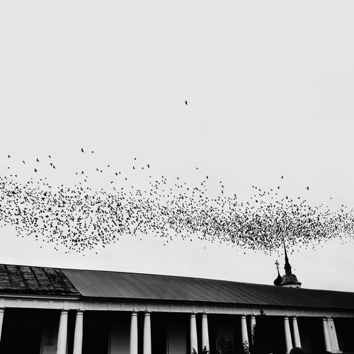Photo #3453214
