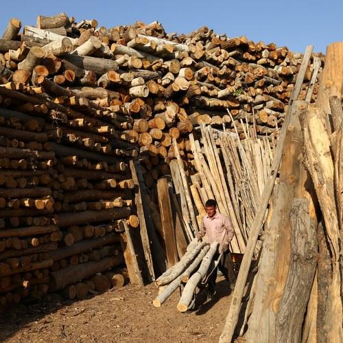 cutting wood
