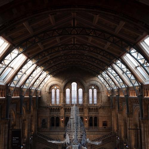 Museum view