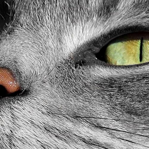 Mirada