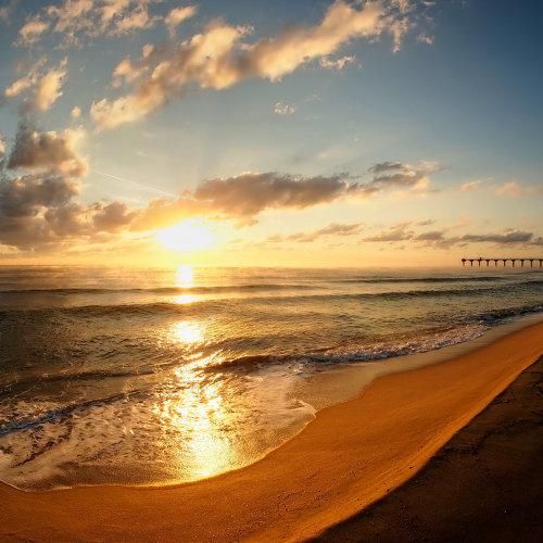 sunrising guy