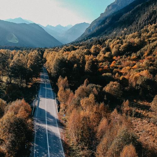 Photo #3455855