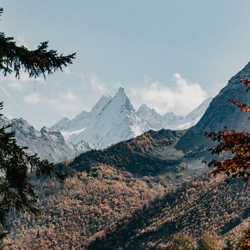 Photo #3455869