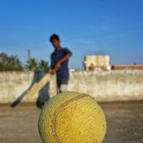 CRICKET