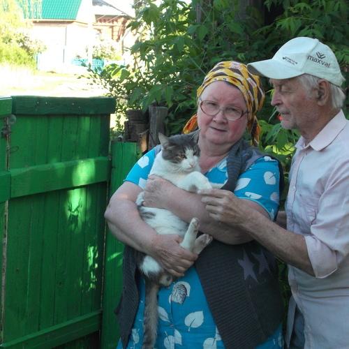 Наш любимый котик Гоша