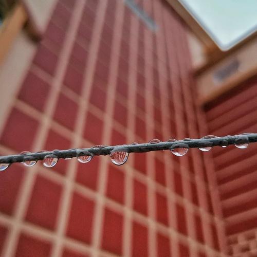 Photo #3458179
