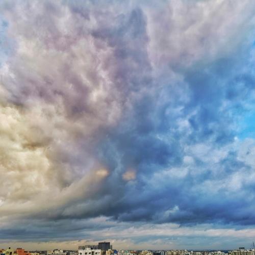 Photo #3458180
