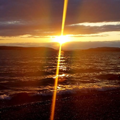 Photo #3458620
