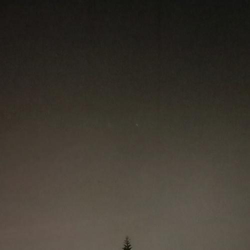 A lonely tree.