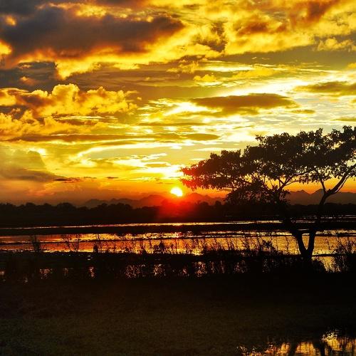Sunset at Candaba swamp