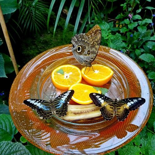 Photo #3459761