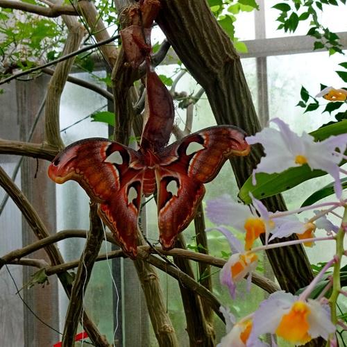 Photo #3459762