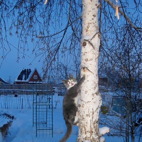 Photo #3460069