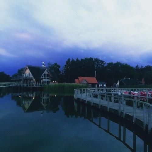 Photo #3460385