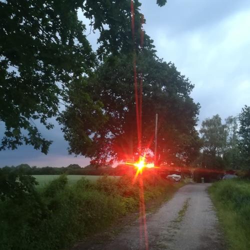 Photo #3460404