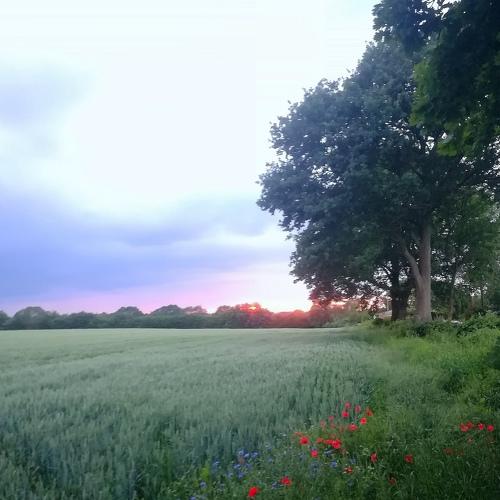Photo #3460687