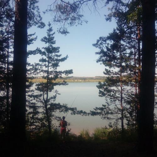 Утро на озере