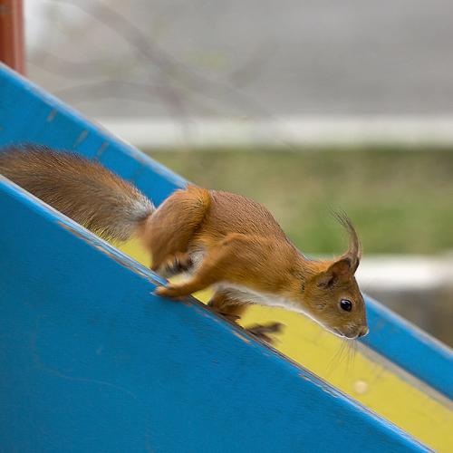 Достали меня уже ваши салочки!