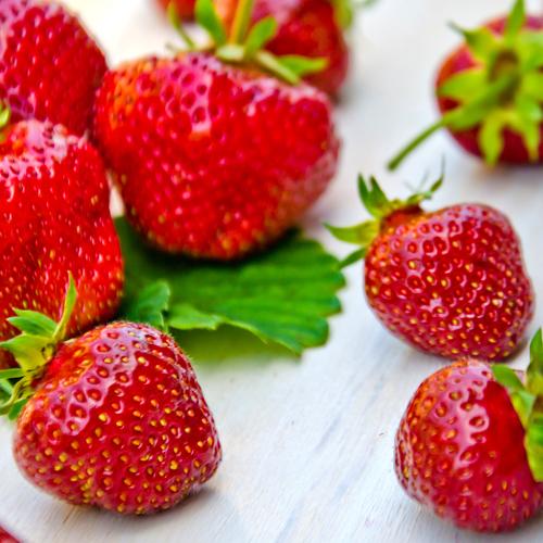 Fresh Strawberries